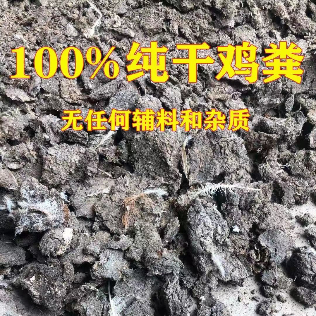 优质纯干鸡粪块农家鸡粪有机肥发酵有机肥鸡屎肥料无杂质瓜果通用,鲜花速递/花卉仿真/绿植园艺,家庭园艺肥料,淘宝优惠券,粉丝福利购,淘宝优惠卷
