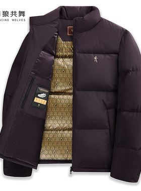【209G重磅】与狼共舞立领羽绒服男2025冬季新款拒水锁温加厚外套