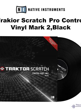 NI Traktor DVS Vinyl mk2 时间码黑胶唱片唱机用 单张