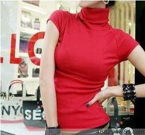 包邮夏季新款纯棉女士韩版高领大码短袖T恤纯色百搭打底衫-封面