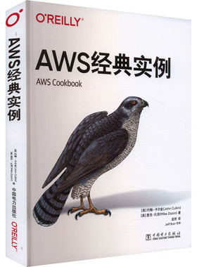 AWS经典实例 中文版 约翰 卡尔金 中国电力出版社9787519889876正版书籍