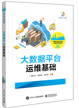 大数据平台运维基础 龚大丰 Hadoop Hive HBase环境搭建与运维 大数据系统运行维护书籍
