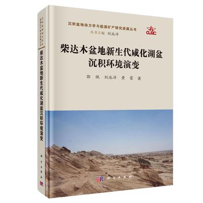 柴达木盆地新生代咸化湖盆沉积环境演变 郭佩 刘池洋 黄雷 科学出版社9787030822390