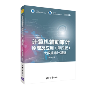 计算机辅助审计原理及应用 第四版 大数据审计基础 陈伟 中国IT审计书 大数据审计实务教材 审计会计和信息管理等专业教材书