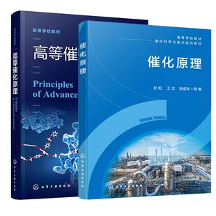 【全2册】催化原理 孙松+高等催化原理 何杰 金属氧化物催化剂及其催化氧化作用