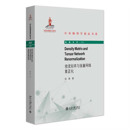 Density Matrix and Tensor Network Renormalization密度矩阵与张量网络重正化 向涛 北京大学出版社9787301353875正版书籍