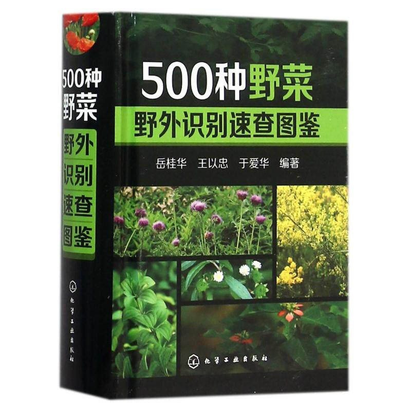 正版现货 500种野菜野外识别速查图鉴 野菜栽培种植技术大全 野生草本植物形状大全书 野菜品种识别方法技巧 野生蔬菜鉴别教程书