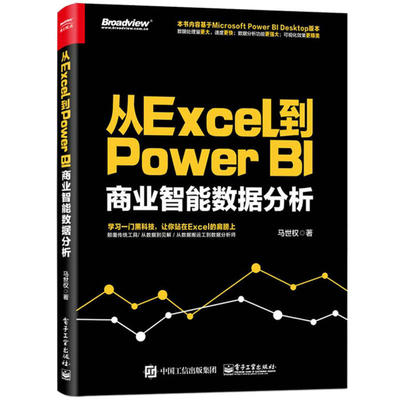 从Excel到Power BI商业智能数据分析 马世权著 快速上手操作Power BI入门书 Power Query 数据查询功能书 excel数据分析办公图书籍
