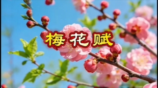 梅花赋2版  歌曲原唱+伴奏led背景视频画面唯美宁静