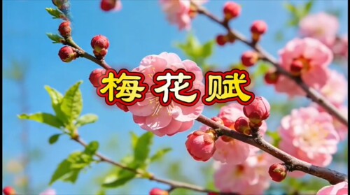 梅花赋2版  歌曲原唱+伴奏led背景视频画面唯美宁静