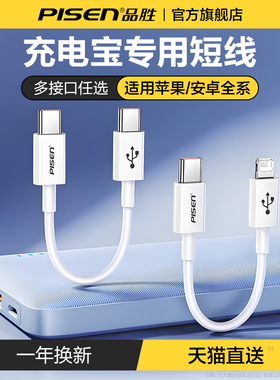 品胜充电宝短数据线双typec充电短线适用苹果15iPhone14promax小米华为安卓手机usb转PD快充电器超便携ctoc口