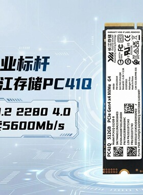 正品原生长江存储PC41q笔记本台式固态盘512g1tM.2 2280 NVME 4.0