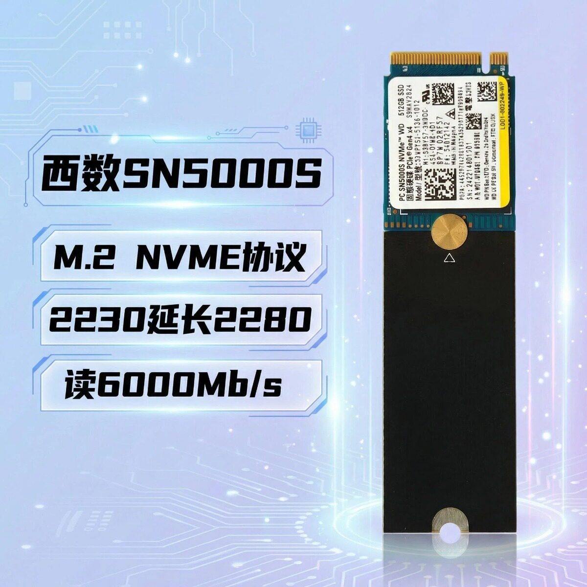 SN5000S512GNVME固态硬盘图片