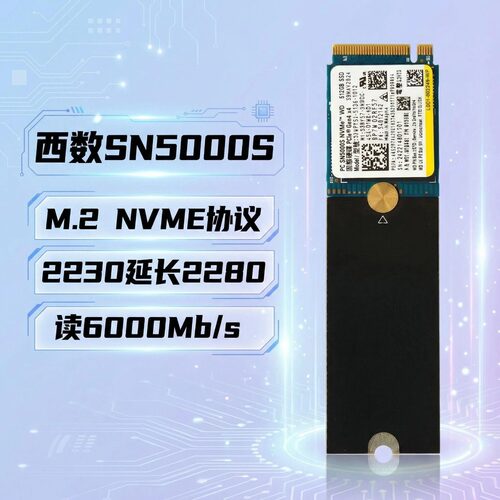 SN5000S512GNVME固态硬盘