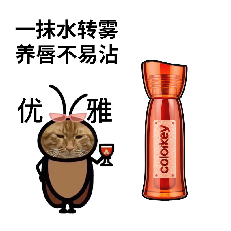 Colorkey珂拉琪水雾唇露唇釉不易掉色不沾杯裸色秋冬棕古唇釉新品