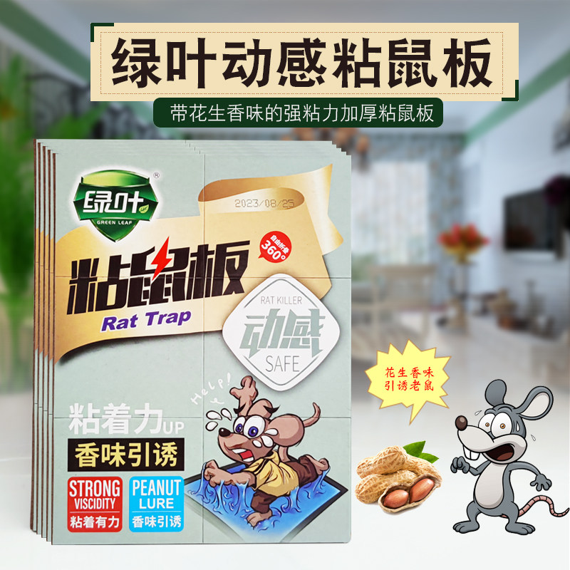 粘鼠板绿叶诱饵诱捕粘捕老鼠