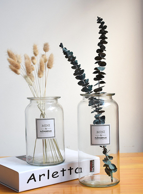 mini花瓶 北欧ins风创意家居简约透明大号玻璃插花flowerplus摆件