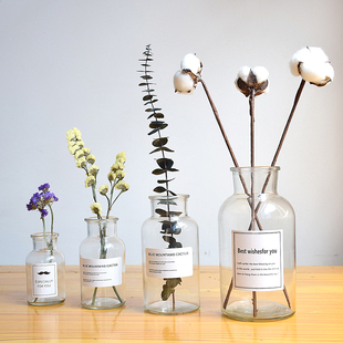 INS透明玻璃花瓶 北欧风简约文艺贴纸玻璃瓶拍照道具水培插花摆件