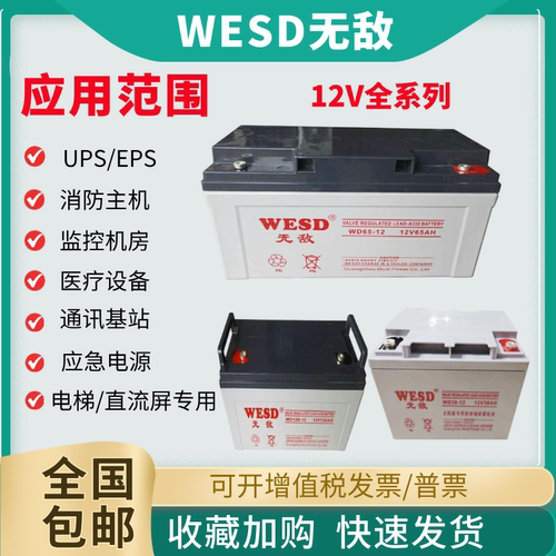 WESD无敌蓄电池WD24-12V消防