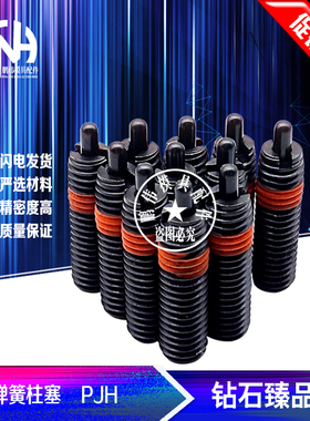 弹簧柱塞 PJH6-30 PJL8-40 PJX6 8 10 12 16 20 24 30长度订只