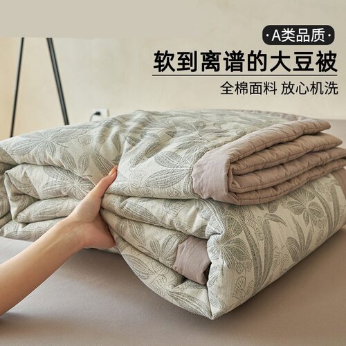 南通蓝瑞纺织品有限公司A类大豆纤维夏凉被纯棉空调被全棉可机洗