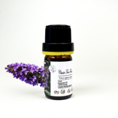 法国野生贞节树单方精油果实chaste tree牡荆子平衡内分