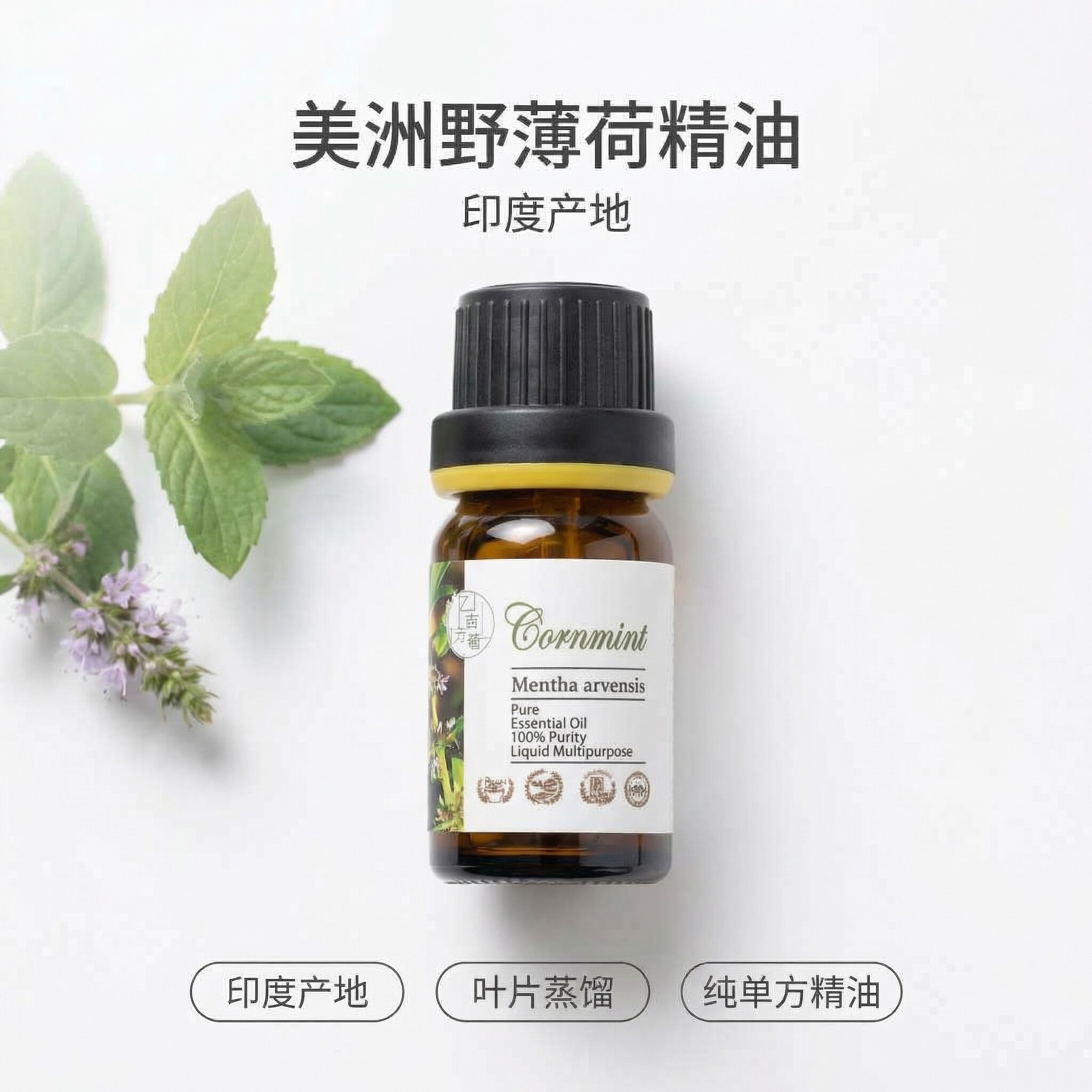 亚洲薄荷单方精油美洲野薄荷日本薄荷玉米薄荷缓解痒清凉