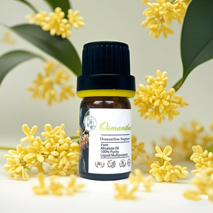 桂花单方原精香气馥郁调香香薰芳疗身体按摩细嫩紧致