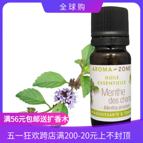 法国aroma zone AZ印度美洲野薄荷单方精油30ml MENTHEDESCHAMPS-封面