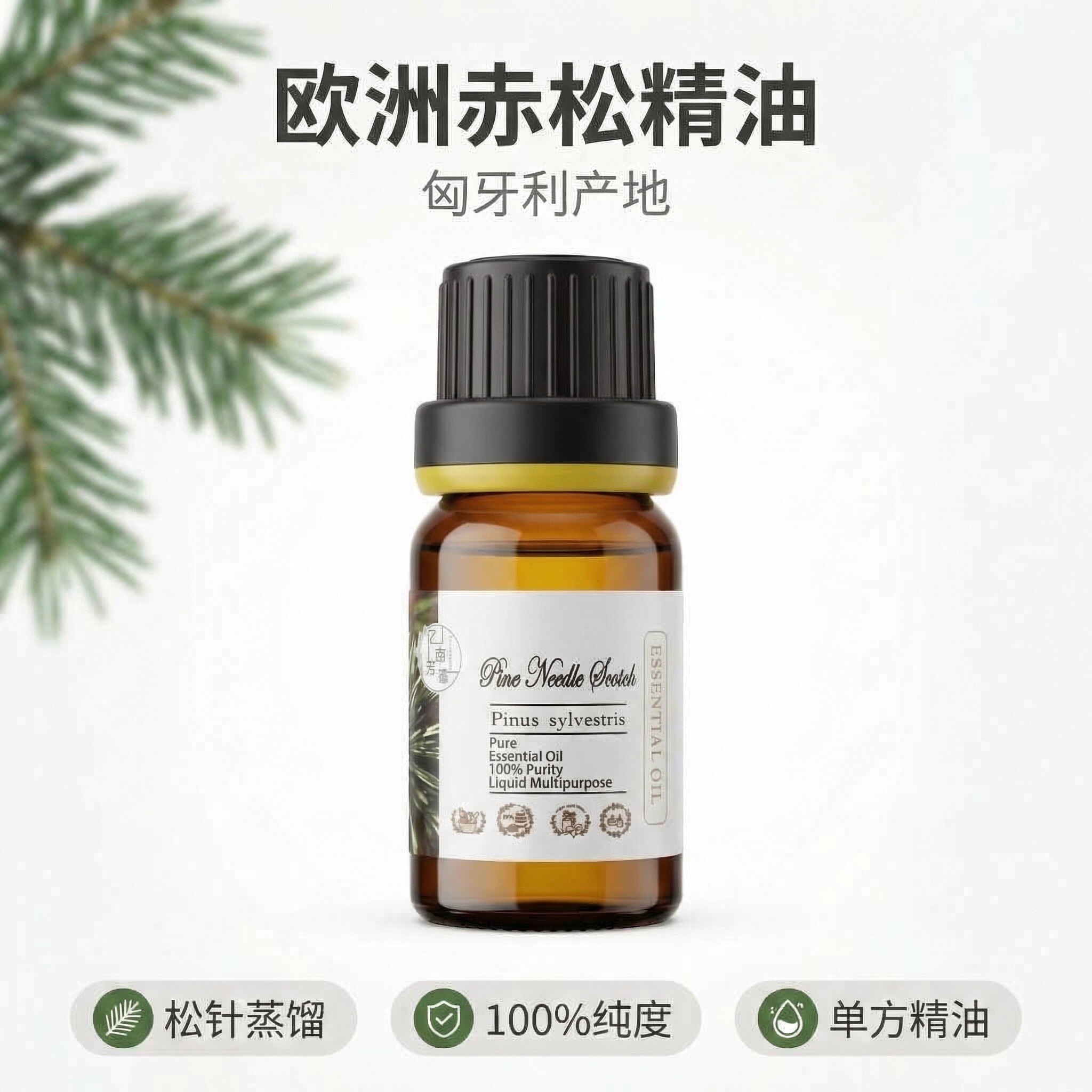 匈牙利欧洲赤松松针单方精油 芳疗Pine Needle 通畅呼吸香薰调香