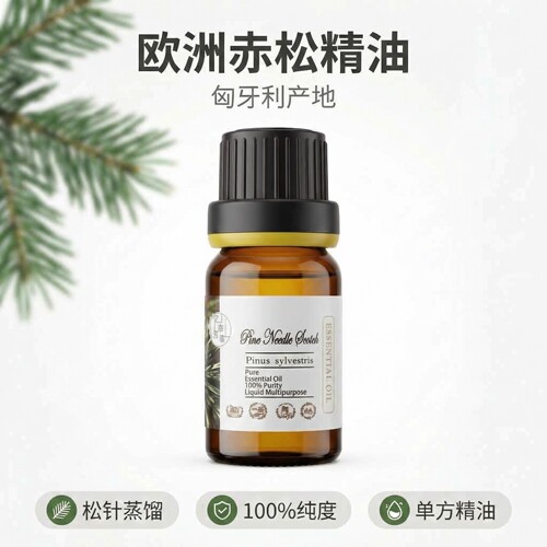 匈牙利欧洲赤松松针单方精油 芳疗Pine Needle 通畅呼吸香薰调香