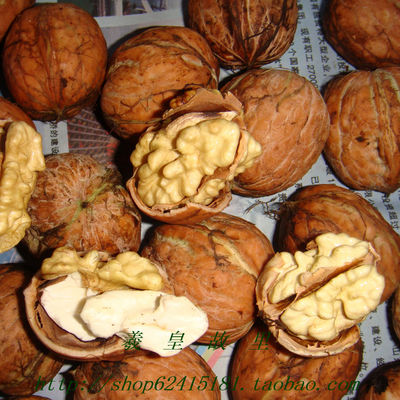 甘肃特产新鲜湿核桃天水薄皮包邮
