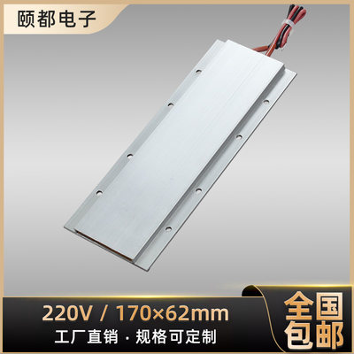 600W220V绝缘恒温PTC陶瓷发热片电加热器加热板可定制地暖配件