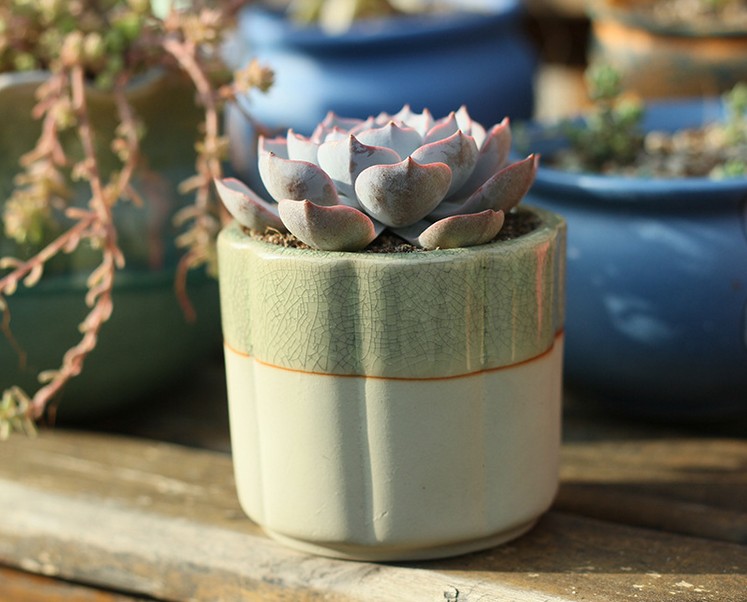 【2个包邮】窑变流釉冰裂手工多肉花盆陶瓷创意清新多款批发