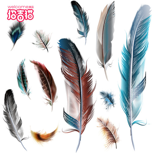 3D立体羽毛车贴遮挡划痕