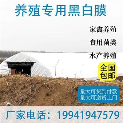 膜鱼塘防渗膜大棚降温反光食用菌养I殖养鸡Q隔热遮阴阻燃绿白