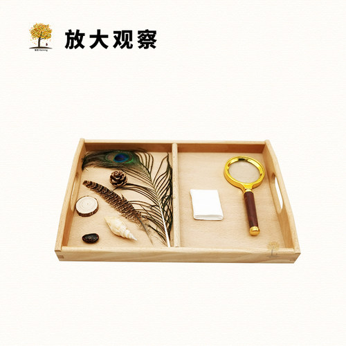 瑞音科学探索区放大镜观察工作