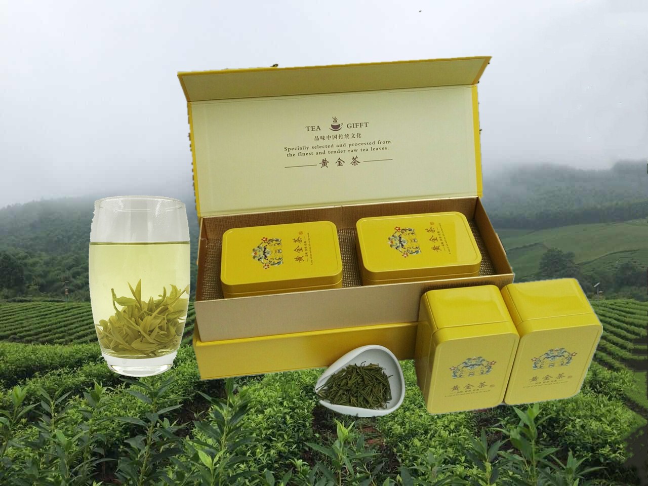 礼盒装200g黄金芽A年茶之峰新茶2018
