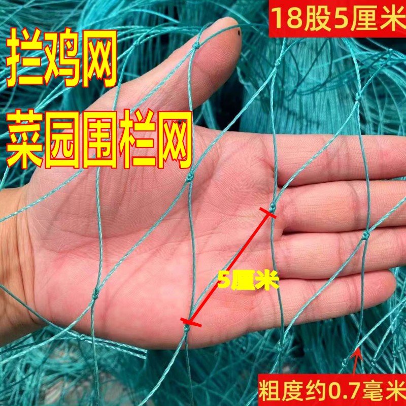 家禽养殖网养鸡网山鸡网围网尼龙护栏/隔离栏