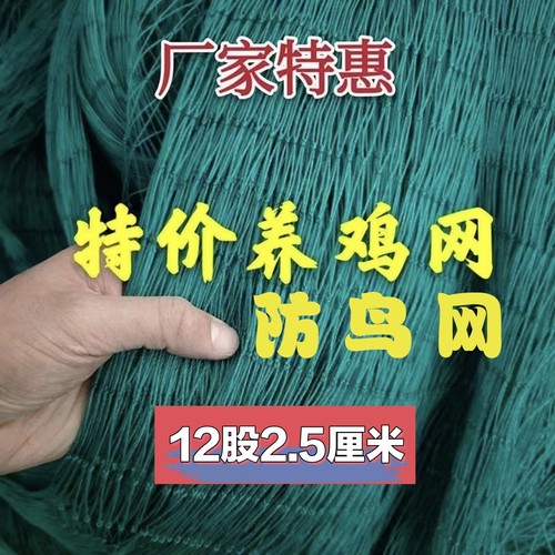 养鸡网养殖围网鸡网拦鸡网尼龙网家禽安全网隔离网菜园围栏防护网