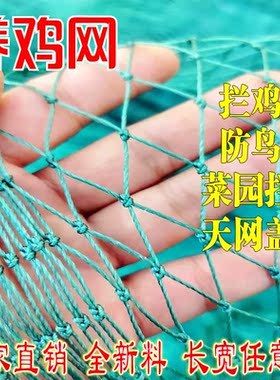 养鸡网养殖围网拦鸡网尼龙网安全网隔离网菜园围栏网聚乙烯防护网