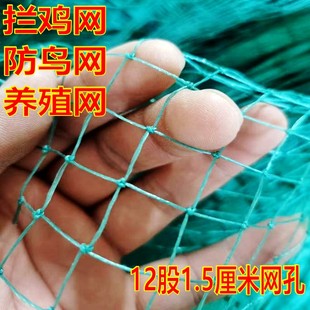 养鸡网防鸟网养殖围网鸡网拦鸡网尼龙网家禽安全网菜园围栏防护网