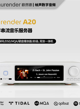 欧然德A20发烧HiFi数播解码器