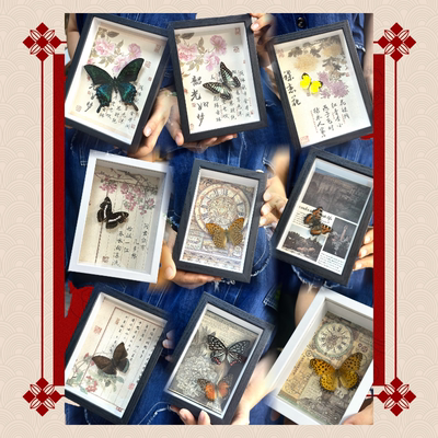 绿带翠凤蝶蝴蝶标本相框