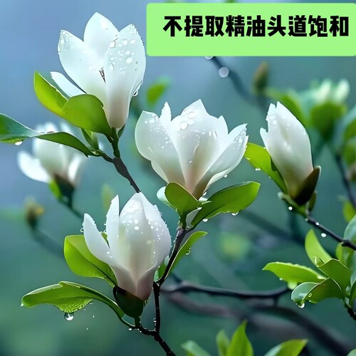 舒缓抗氧化提亮肤色控油收毛孔痘