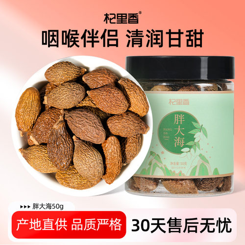 杞里香胖大海茶泡水喝