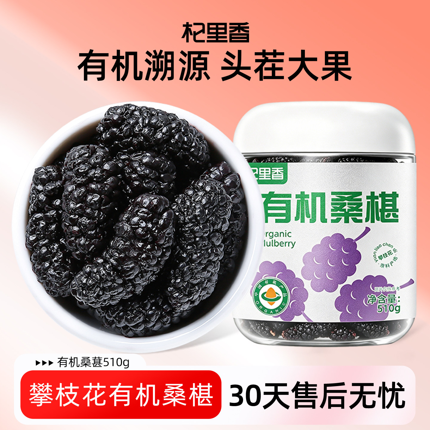 【有机桑葚】杞里香大果攀枝花桑葚干510g免洗无沙黑桑椹子泡茶水