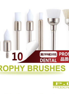 牙科 齿科 口腔 耗材 材料 抛光刷 抛光头 一次性 100支