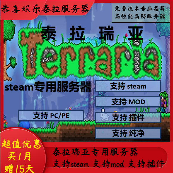 Terraria泰拉瑞亚服务器出租用不限制人数MOD高频主机steam服务器 品牌台机/品牌一体机/服务器 服务器/Server 原图主图