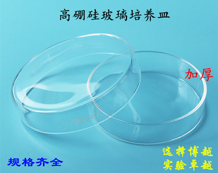 玻璃培养皿五一环球华鸥